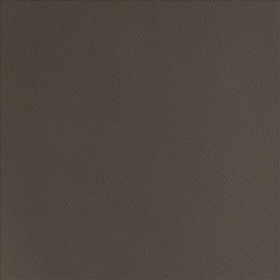 Kasmir BY DESIGN        ESPRESSO        